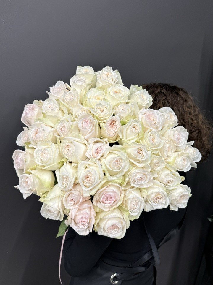 Роза Вайт Охара (50-60 см)